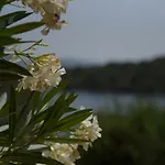 Elia Village Апартаменты Katomerion
